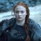 sansa snark