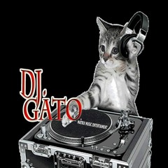 DJ.GATO (MME)/JAPAN