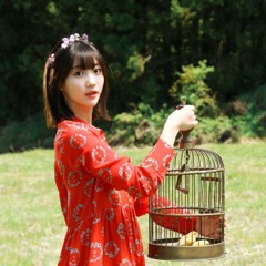 ara03