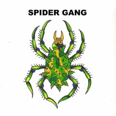 SPIDER GANG
