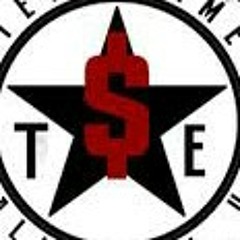 TSE Music Group