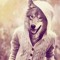 wolf repost