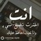 Ahmed Elbahnasy