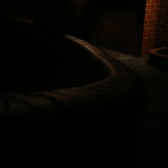 playingwithdinosaurs