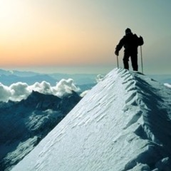 Freedom Solutions DAO