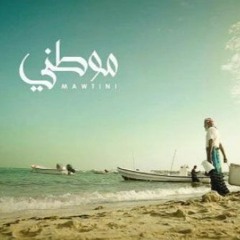 Mahmoud M Alshaer