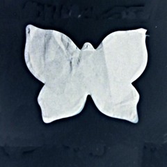 Farfallina Intrepida