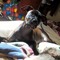 Sr Charlie