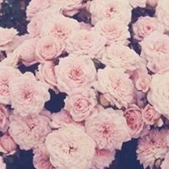Omnia El-nabawy
