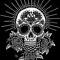Dj or die
