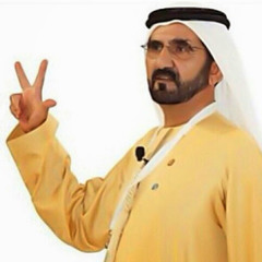 User 293135312