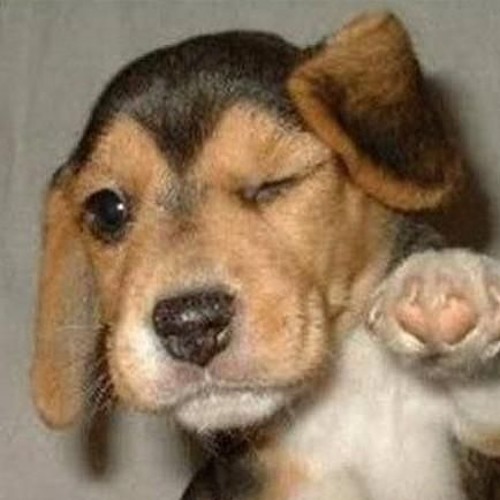 I Wish It Was -Just A Dream- AMV