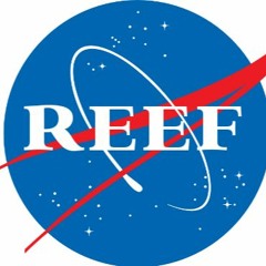 Reef