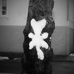 Imoss