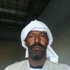 حامداحمد الهواري