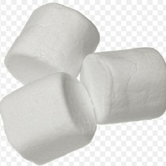 The Marshmellow Guy