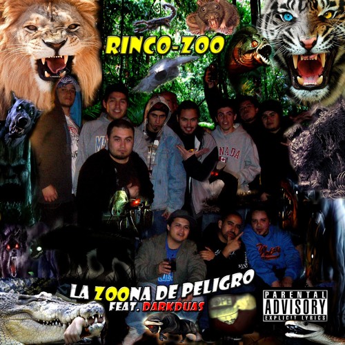 Rinco-zoo’s avatar