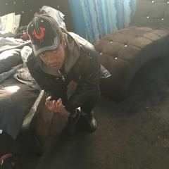 Shark Frmthe NationalHarbor