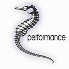 Performance