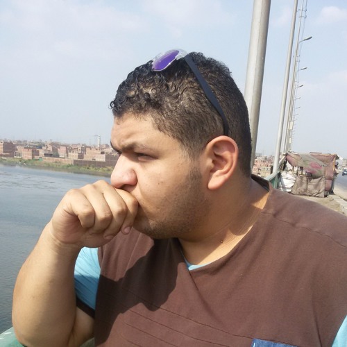 Mahmoud Fathy Arfa’s avatar