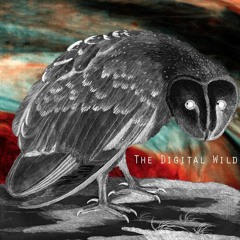 Chelsea Seth Woodward