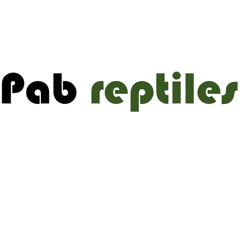 PAB Reptiles