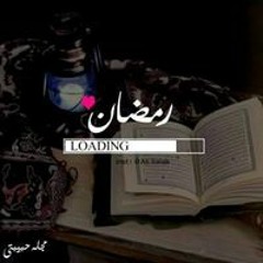 Noha Saed