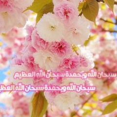 Oheb Rabby