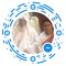 مرقس ماهر