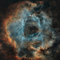 Lmur278