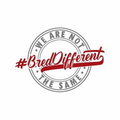 BredDifferent_201
