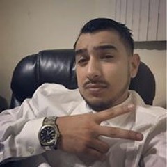 Pedro Log