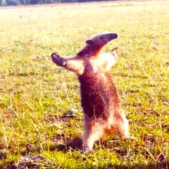 Left Field Productions