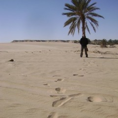 Mario Ferenčak (rioofer)