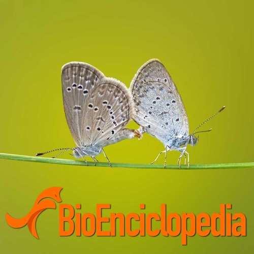 Resultado de imagen de bioenciclopedia