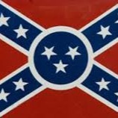 O.R.G   REBEL SHINNER