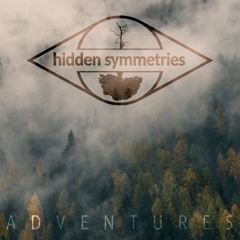 Hidden Symmetries