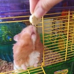 Chlo Chlo Pooee Lorhan