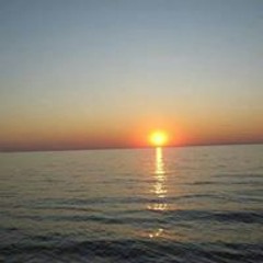 David Michael Bonfiglio