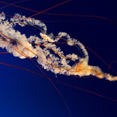 S Walker FREE DOWNLOADS