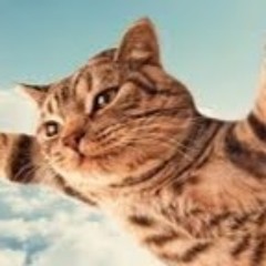 user333344807