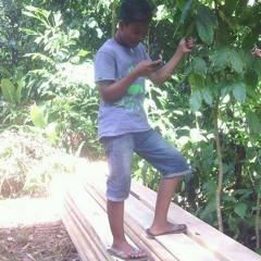 rizal seiber comunitiy