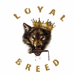 Loyal Breed Committed