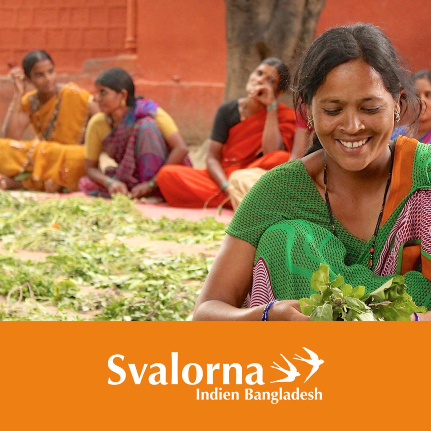 Indienpodden - Svalorna Indien Bangladesh