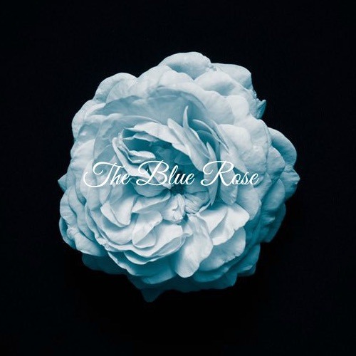The Blue Rose Collective’s avatar