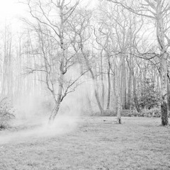 Double Slit Experiment