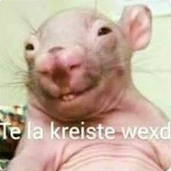 Valentin Funes Moscarelli