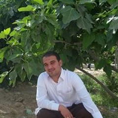 محمد ناجي الهواري
