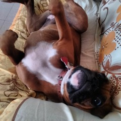 Gus Ramirez Quintero