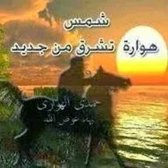 user795216712